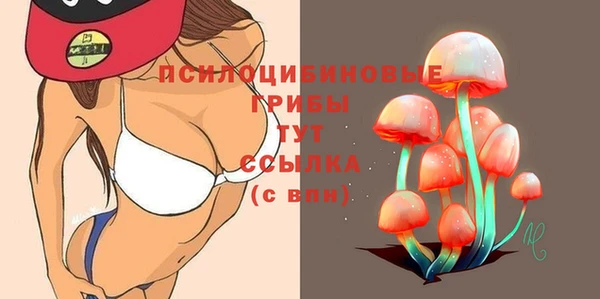 mdpv Магас
