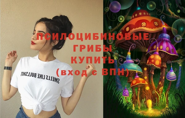 mdpv Магас