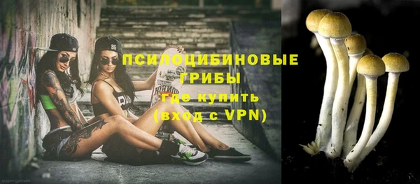 эйфоретик Нижний Тагил