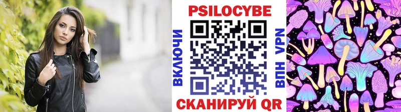 где продают   Новошахтинск  Псилоцибиновые грибы MAGIC MUSHROOMS 