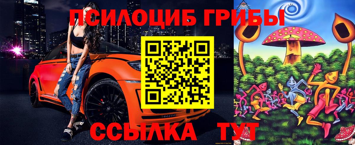 Галлюциногенные грибы Cubensis  Галлюциногенные грибы ЛСД  Вход с VPN  Новошахтинск 
