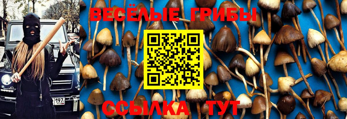 Галлюциногенные грибы Cubensis  Новошахтинск 