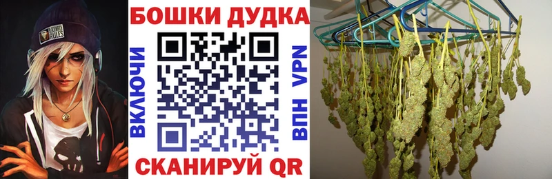 Бошки марихуана марихуана Новошахтинск