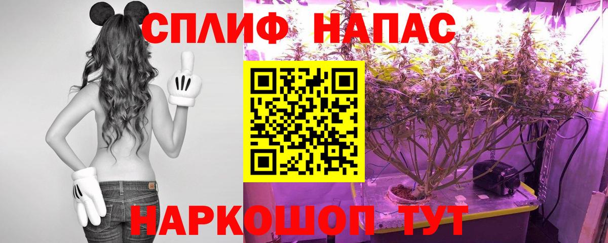 Бошки марихуана план  Шишки марихуана White Widow  Новошахтинск  Марихуана индика 